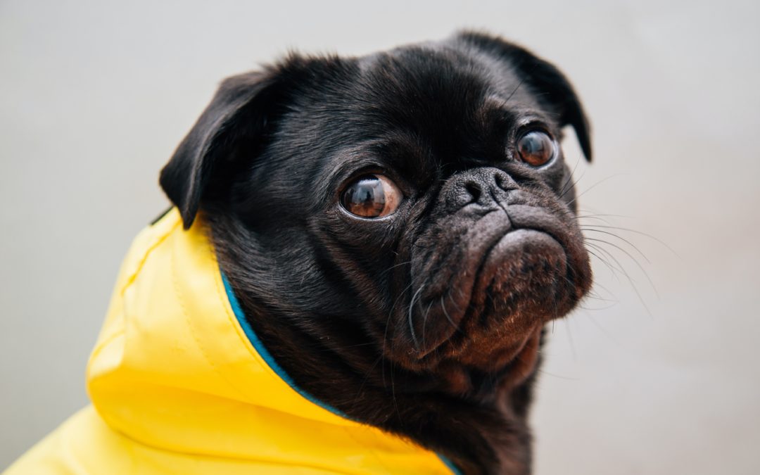 4 Uncommon Reasons You Might Be Bloated